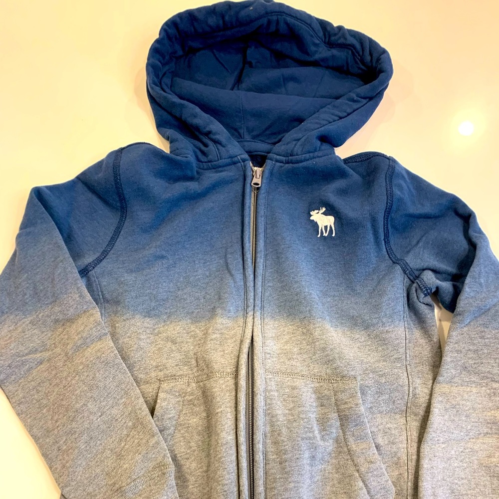 Abercrombie Kids Two Tone Hoodie